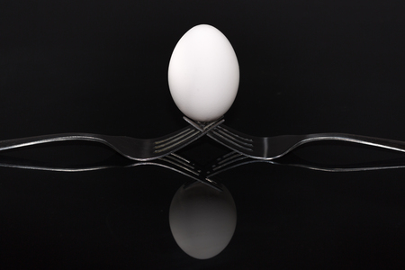 Still Lifeの写真素材