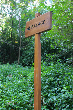 small wooden plaque against a green backgroundの写真素材