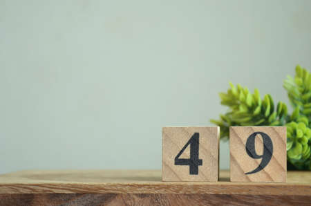 Number 49, Rating, Award, Design with number cube in the natural concept.の写真素材
