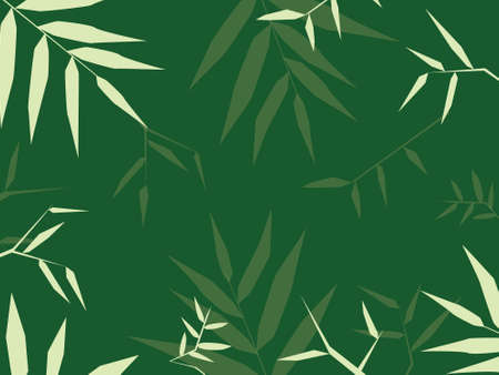 Bamboo leaf with a Dark green background.の写真素材