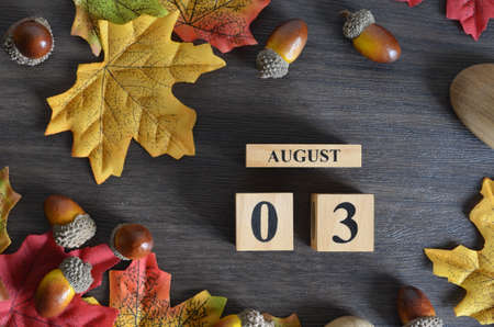 August 3, Cover Date design with Calendar cube decorate with maple leaf and Acorn Oak seed for your business.の写真素材