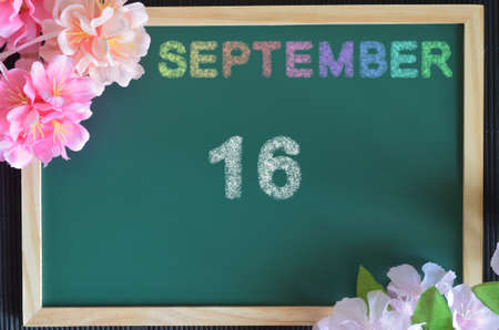 September 16, month write with colorful chalk, flowers on the green board.の写真素材