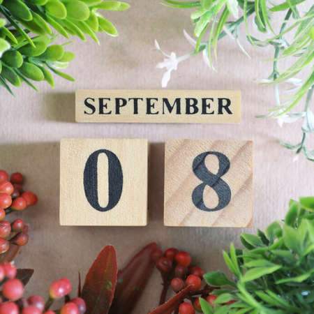 September 8, Icon design in the natural concept.の写真素材