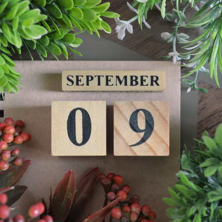 September 9, Icon design in the natural concept.の写真素材