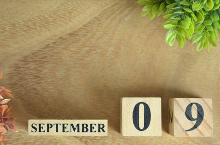 September 9, Number cube design in the natural concept.の写真素材