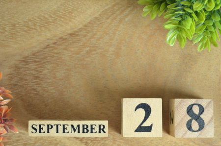 September 28, Number cube design in the natural concept.の写真素材