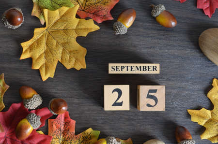 September 25, Cover Date design with Calendar cube decorate with maple leaf and Acorn Oak seed for your business.の写真素材
