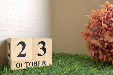 October 23, Date design in natural concept.の写真素材