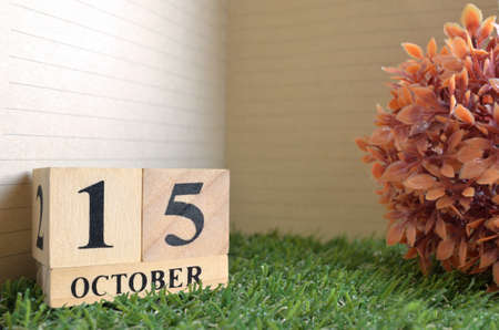 October 15, Date design in natural concept.の写真素材