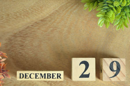 December 29, Number cube design in the natural concept.の写真素材