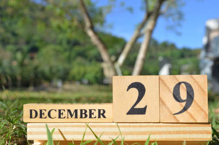 December 29, Cover natural background for your business.の写真素材