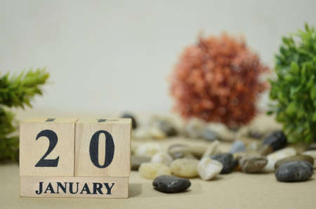 January 20, Number cube design in the natural concept.の写真素材
