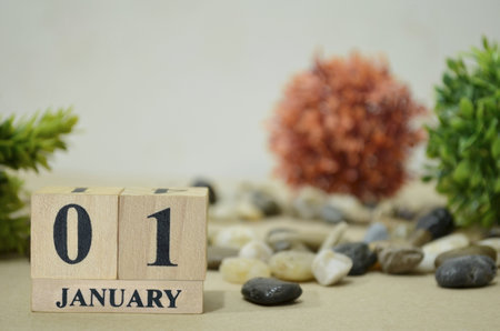 January 1, Number cube design in the natural concept.の写真素材