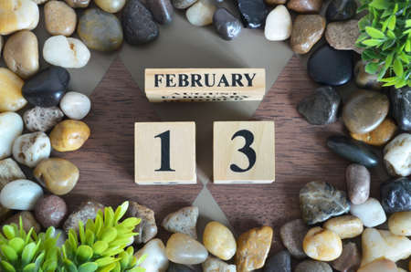 February 13, Appointment Date design in the natural concept.の写真素材