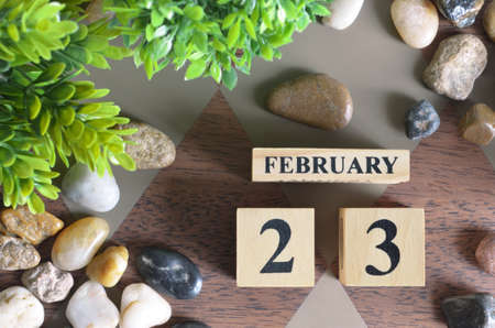 February 23, Appointment Date design in the natural concept.の写真素材
