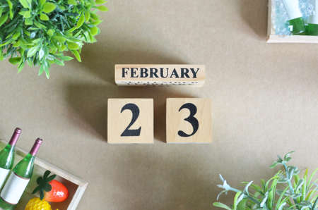 February 23, Date Background Design with number cube strawberry pineapple and wine in the natural concept.の写真素材