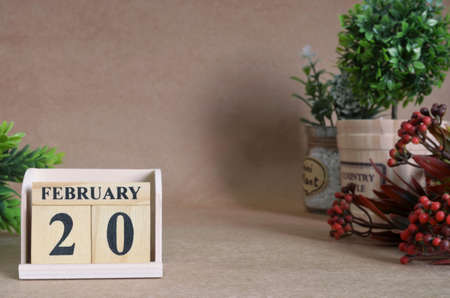 February 20, Vintage natural calendar.の写真素材