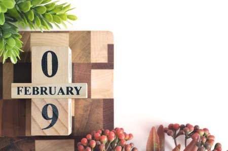February 9, Cover calendar design in the natural concept.の写真素材