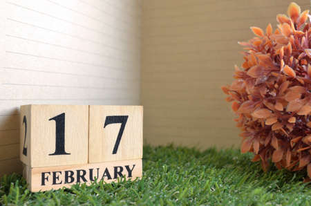 February 17, Date design in the natural concept.の写真素材