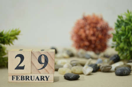 February 29, Number cube design in the natural concept.の写真素材