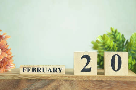 February 20, Cover natural Calendar, Appointment Date design.の写真素材