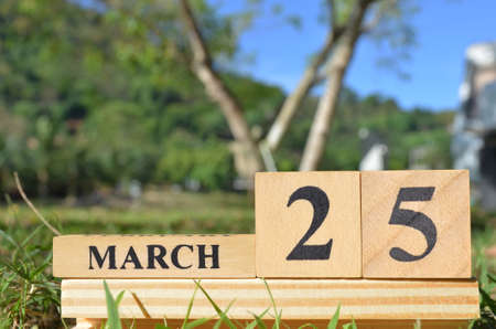 March 25, Cover the natural background for your business.の写真素材