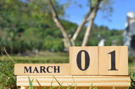 March 1, Cover the natural background for your business.の写真素材