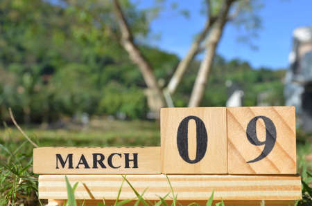 March 9, Cover the natural background for your business.の写真素材