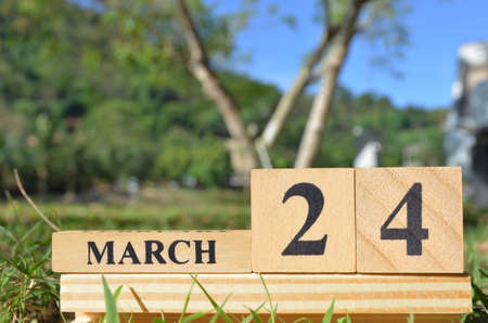 March 24, Cover the natural background for your business.の写真素材