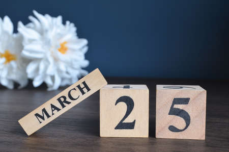 March 25, Date cover design with calendar cube and white Paeonia flower on wooden table and blue background.の写真素材