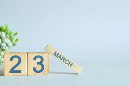 March 23, Calendar cover design with number cube with green fruit on blue background.の写真素材