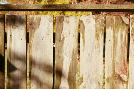 fence in the woods autumn sunshineの写真素材