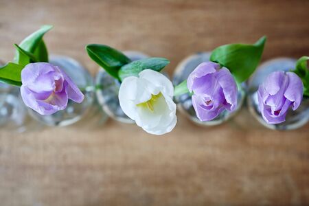 one violet tulip and empty bottles creative focusの写真素材