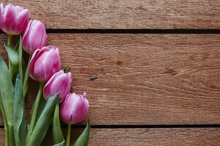 a variety of tulips on wood valentines dayの写真素材