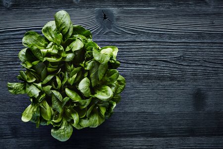green organic salad on dark wood foody lifestyleの写真素材