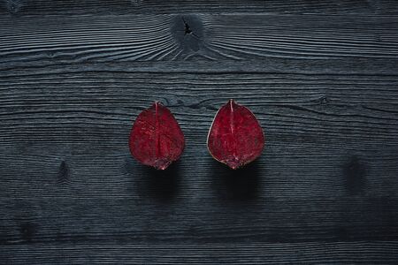 red healthy organic beetroot sliced on dark woodの写真素材