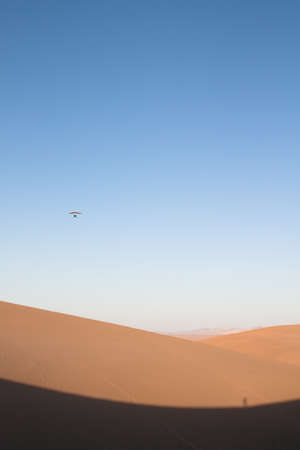 Desertの写真素材