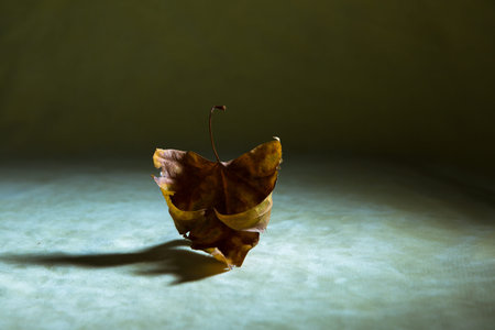 Withered leaf