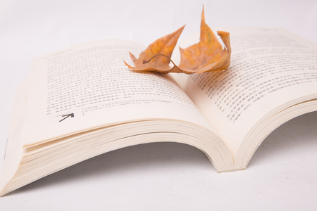 opened book with leafのeditorial素材