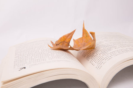 opened book with leafのeditorial素材