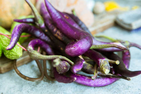 Eggplantの写真素材