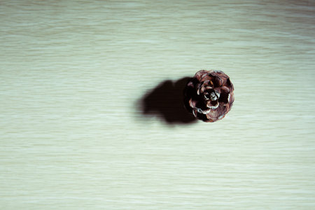 Pine cones
