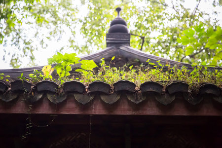 Eaves