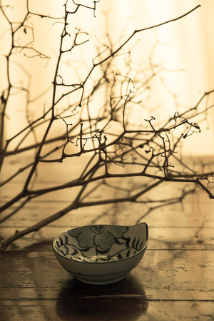 Oriental bowl with branchesの写真素材