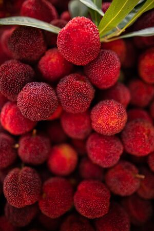 Chinese bayberries close-upの写真素材