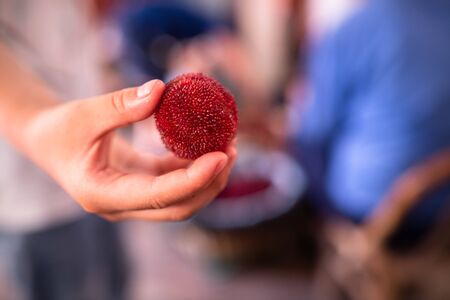 Chinese bayberry on a child's handの写真素材