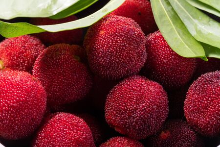 Chinese bayberries close-upの写真素材