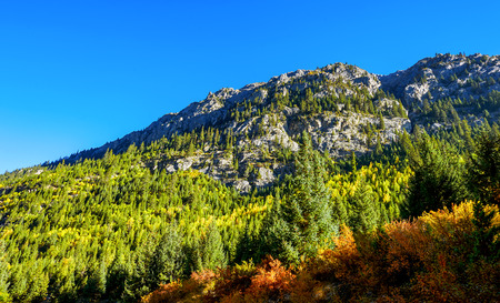 Plateau Nature sceneryの写真素材
