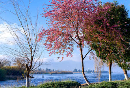 Daguan Parkの写真素材