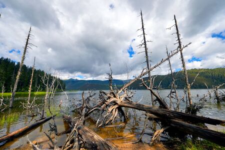 Yunnan Shangri-Laの写真素材